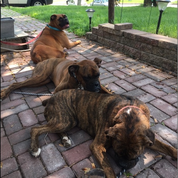 Meet your Posher, Cindy - Picture 1 of 1